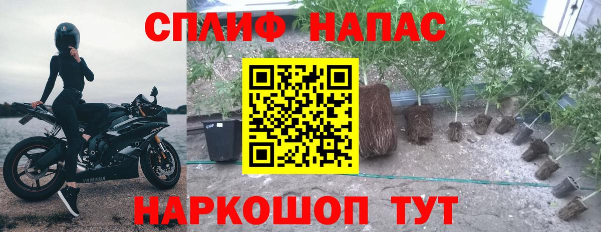 МАРИХУАНА LSD WEED  Вход с VPN  Шишки марихуана план  Канабис Bruce Banner  Железногорск  Каннабис марихуана 